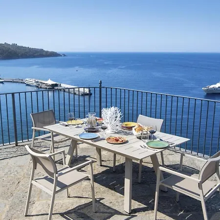 - Galidia Sorrento