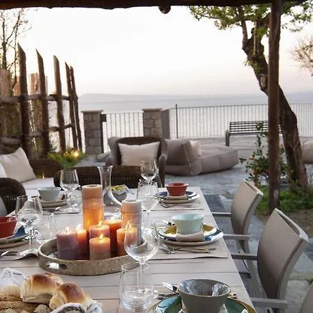 - Galidia Sorrento
