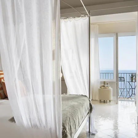 - Galidia Sorrento