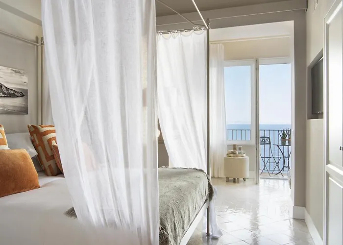- Galidia Sorrento