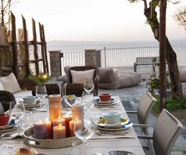 - Galidia Sorrento